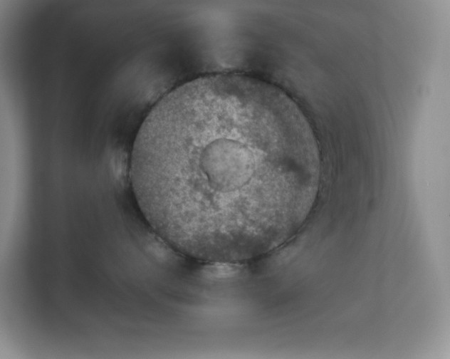 X0000113040672200909031313