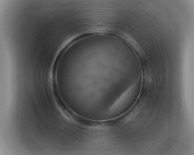 X0000113040674200909031312