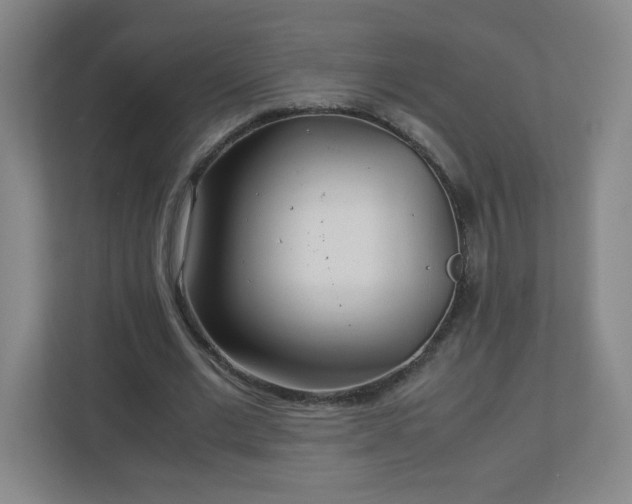 X0000113040677200909031312