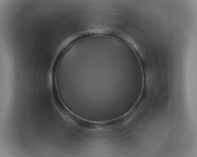 X0000113040678200909031312