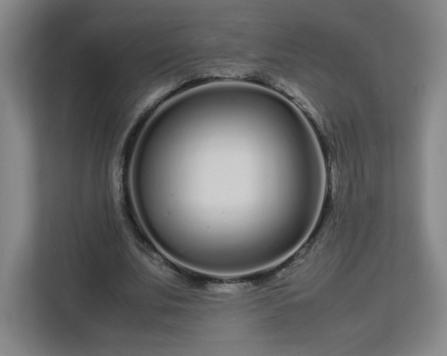 X0000113040679200909031312