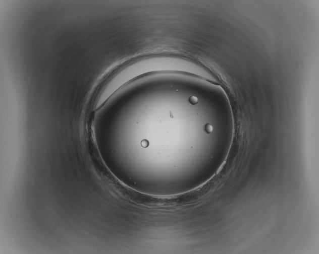 X0000113040680200909031312