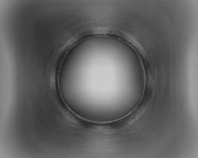 X0000113040681200909031312