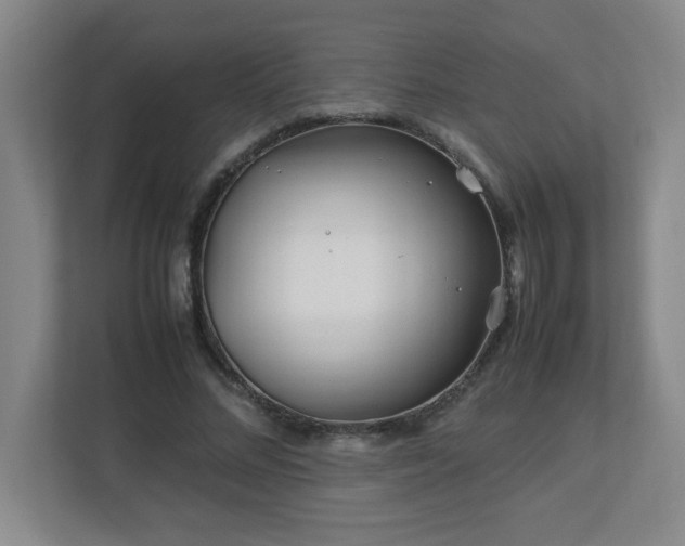 X0000113040684200909031312