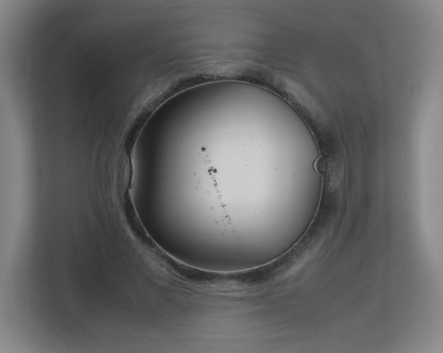 X0000113040685200909031312