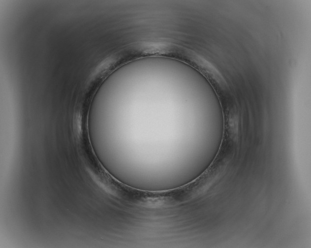 X0000113040686200909031312