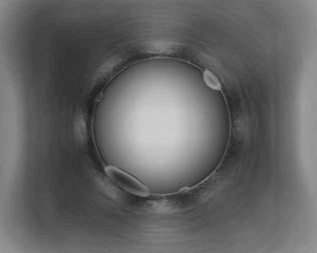 X0000113040688200909031312