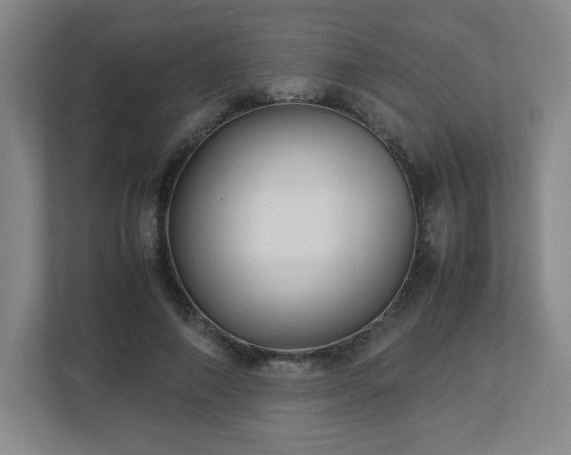 X0000113040690200909031312