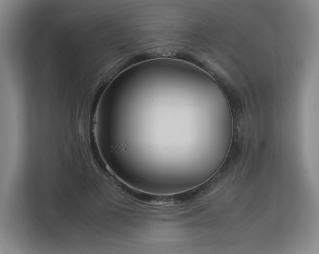 X0000113040693200909031312