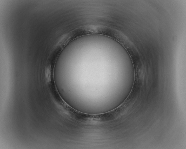 X0000113040694200909031312