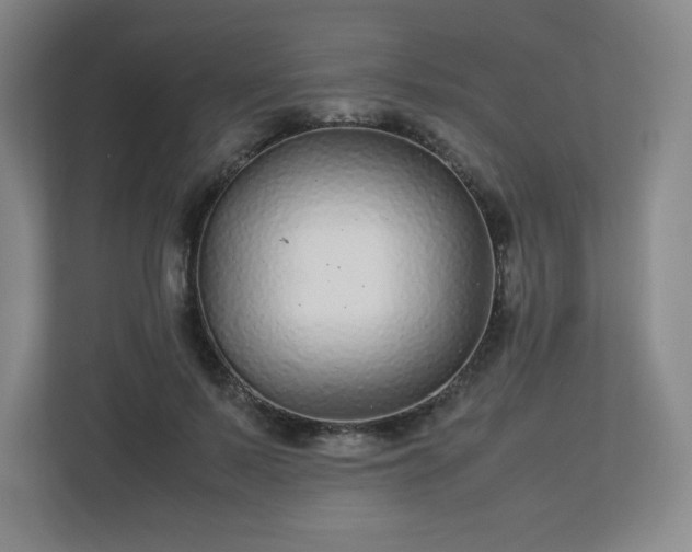 X0000113040695200909031312