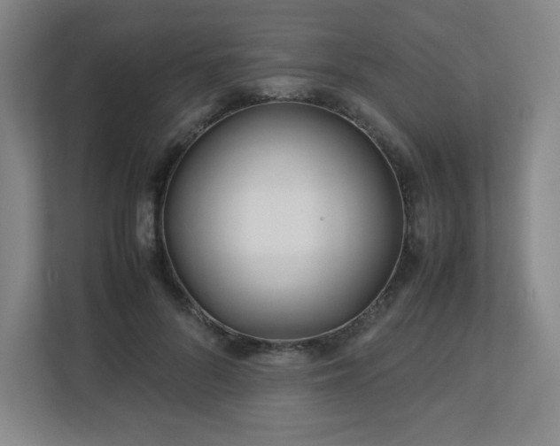 X0000113040696200909031312