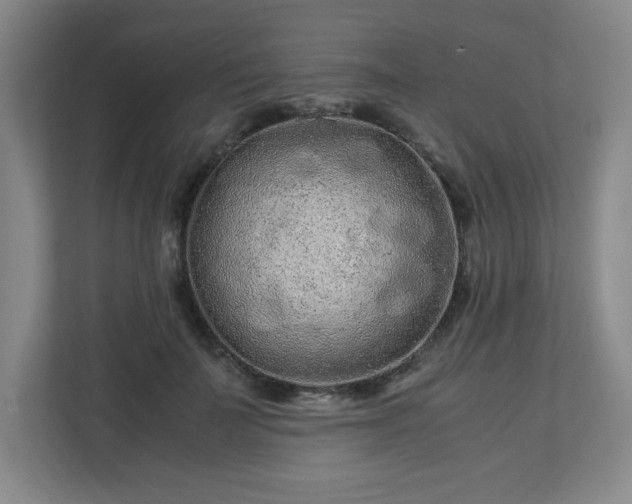 X0000113040699200909031312