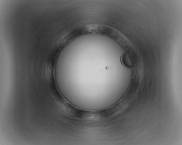 X0000113040702200909031312