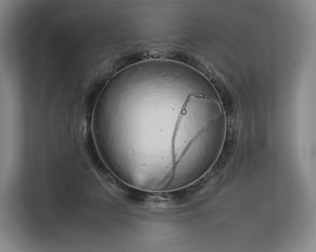 X0000113040703200909031312