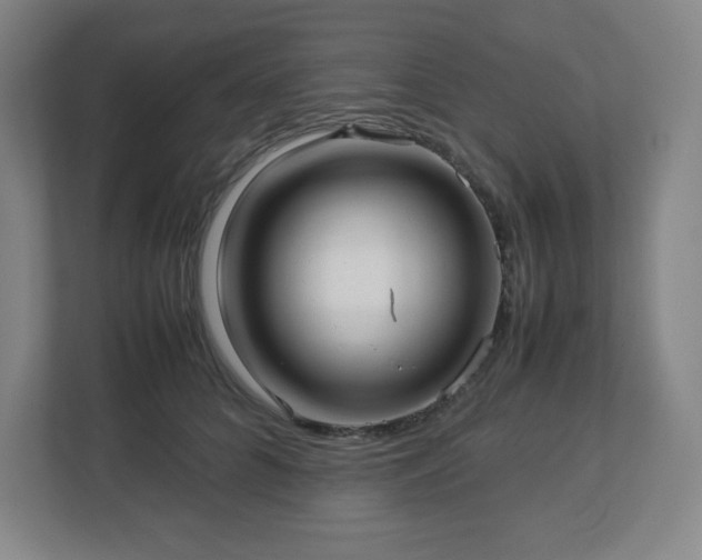 X0000113040704200909031312