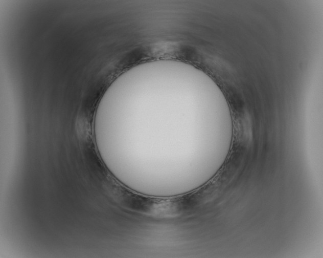 X0000113040705200909031312