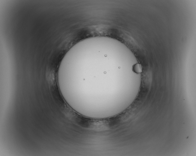 X0000113040709200909031312