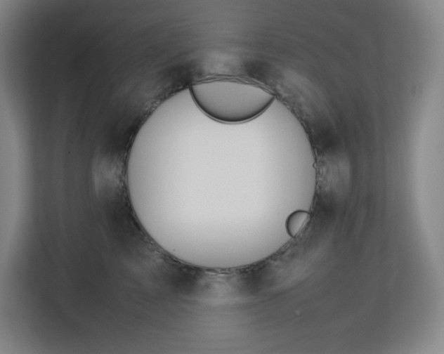 X0000113040713200909031312