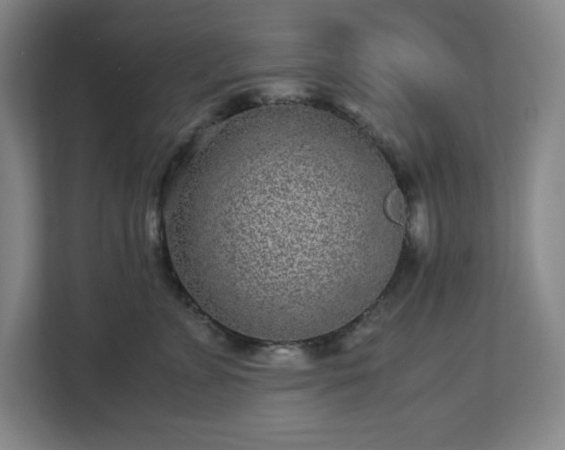 X0000113040715200909031312