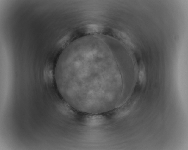 X0000113040716200909031312