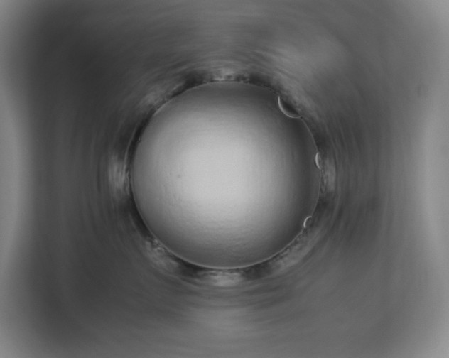 X0000113040719200909031312