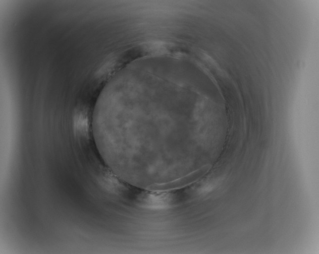 X0000113040720200909031312