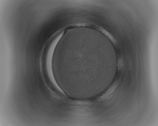 X0000113040722200909031311