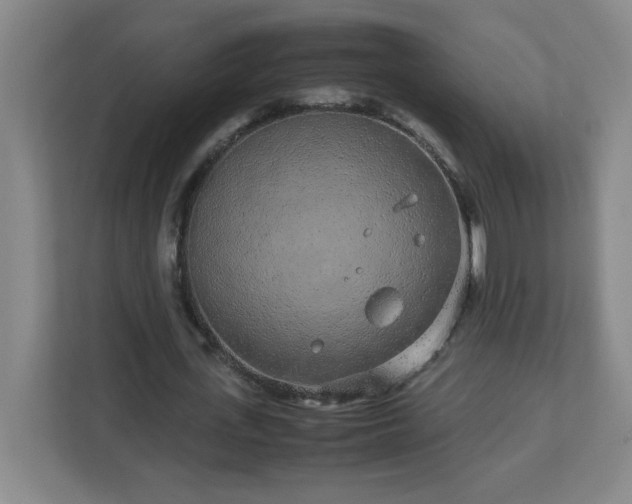 X0000113040723200909031311