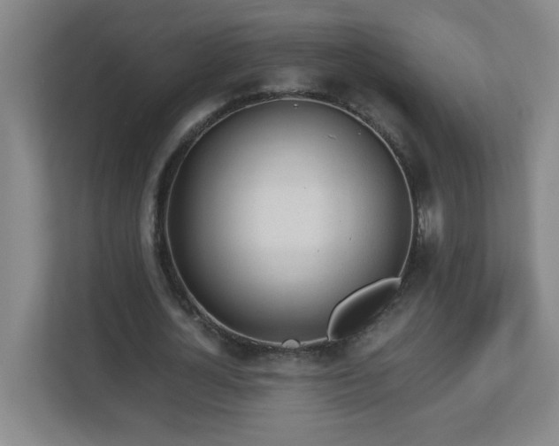 X0000113040724200909031311