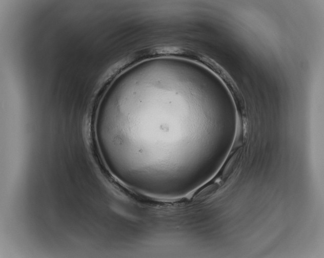 X0000113040725200909031311