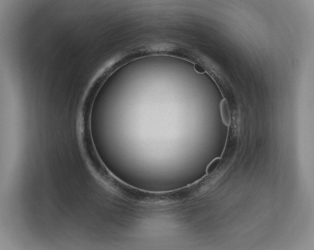 X0000113040726200909031311