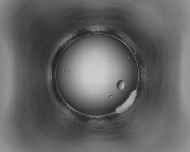 X0000113040727200909031311