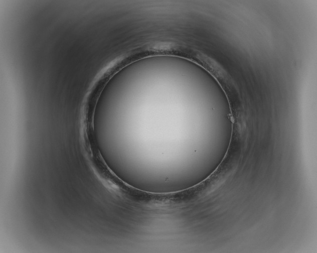 X0000113040728200909031311