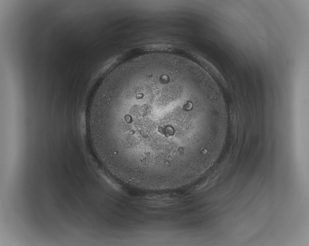 X0000113040729200909031311