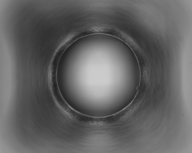 X0000113040730200909031311