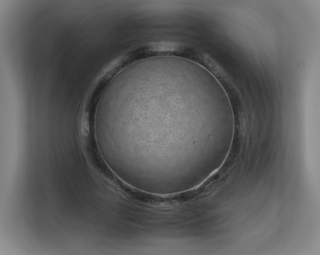 X0000113040731200909031311