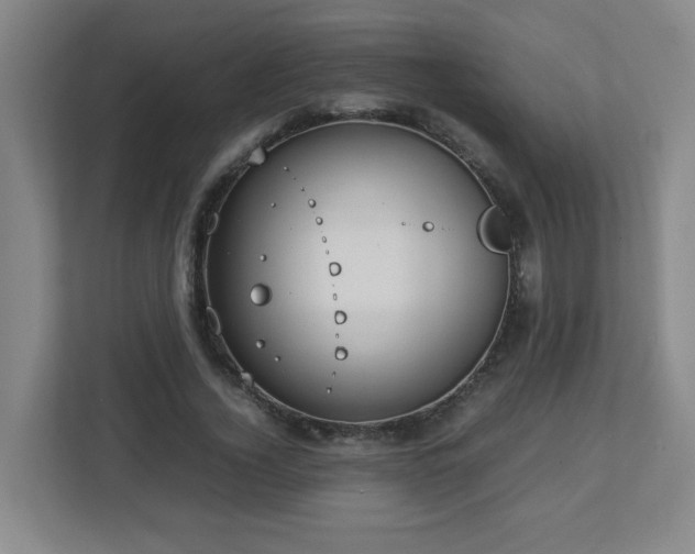 X0000113040732200909031311