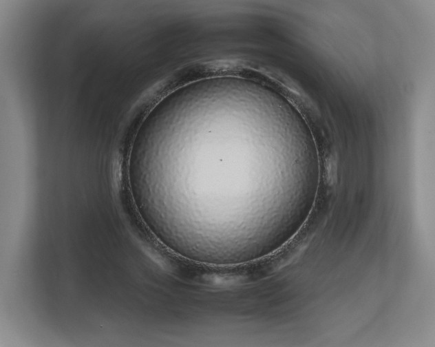 X0000113040733200909031311