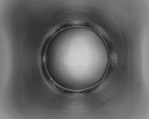 X0000113040734200909031311