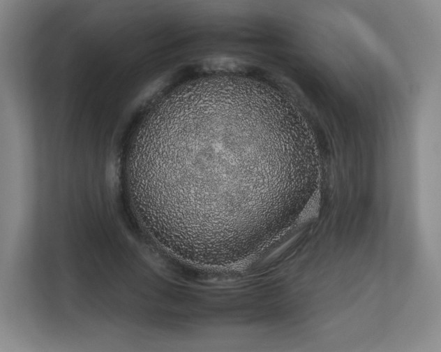 X0000113040735200909031311