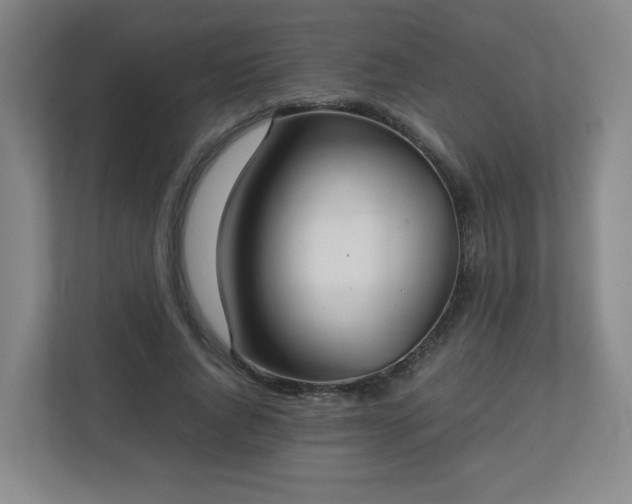 X0000113040736200909031311