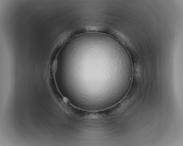 X0000113040738200909031311