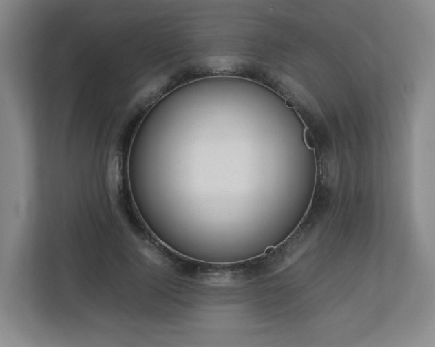 X0000113040740200909031311