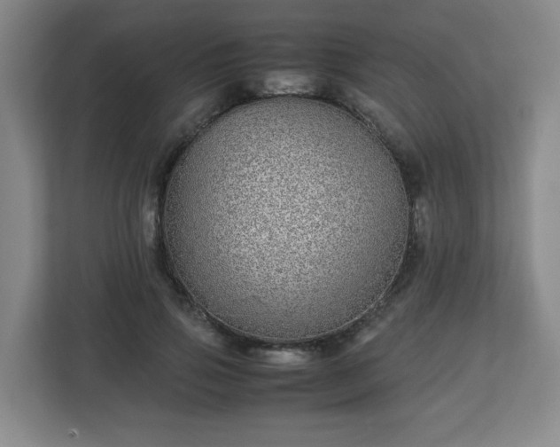 X0000113040741200909031311