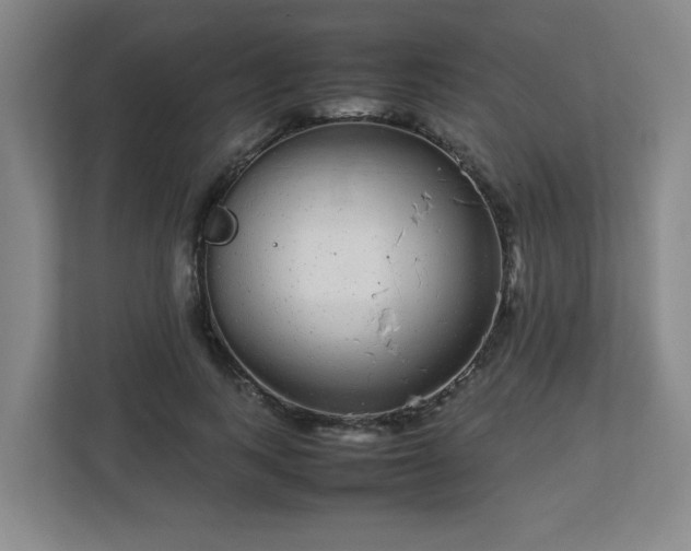 X0000113040743200909031311