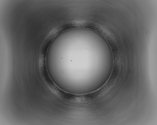 X0000113040744200909031311