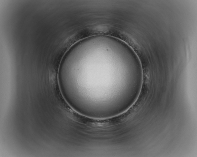 X0000113040745200909031311