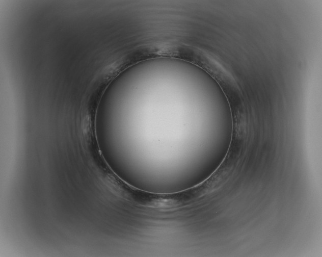 X0000113040748200909031311