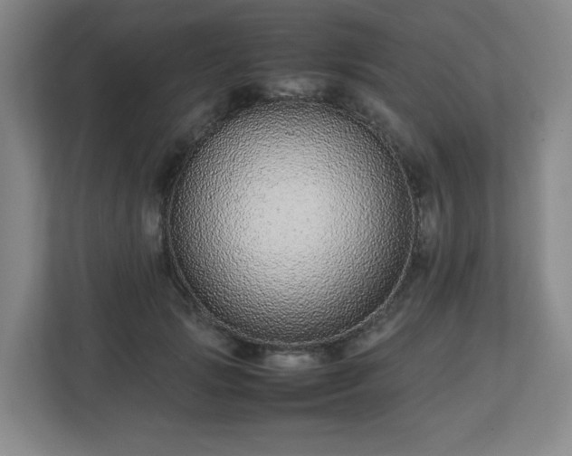 X0000113040749200909031311